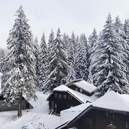 Apartments Zed Vila Zvoncica Kopaonik Exterior photo