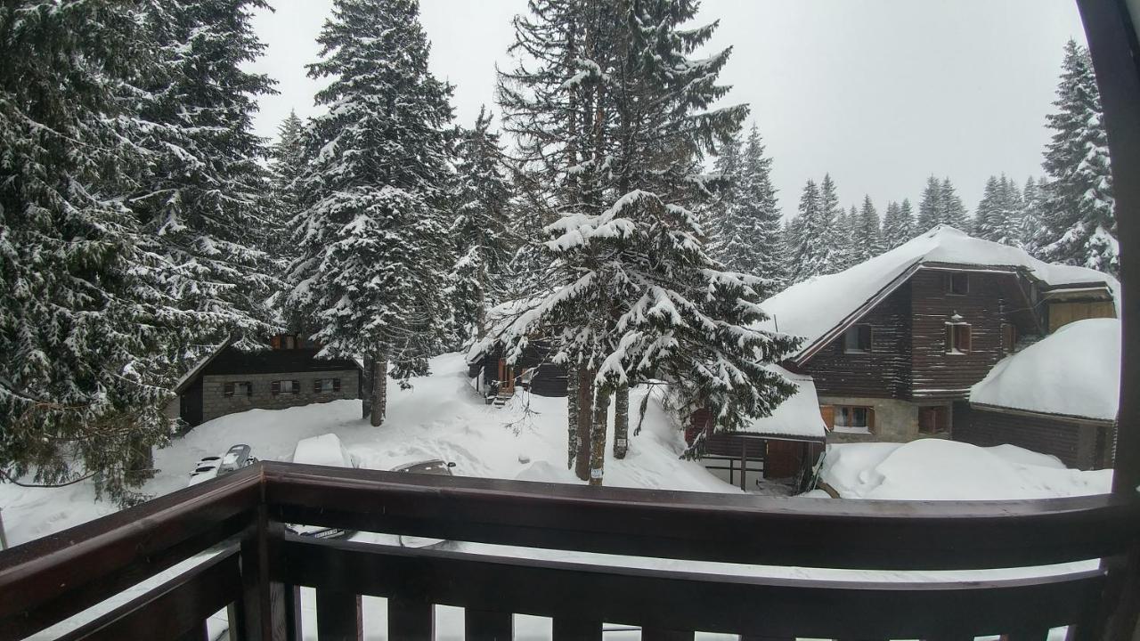 Apartments Zed Vila Zvoncica Kopaonik Exterior photo